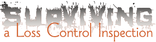 Loss Control Inspection